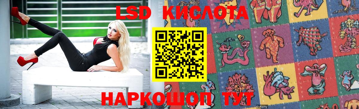 Камышлов  ЛСД экстази ecstasy  Вход с VPN  Лсд 25 экстази кислота 