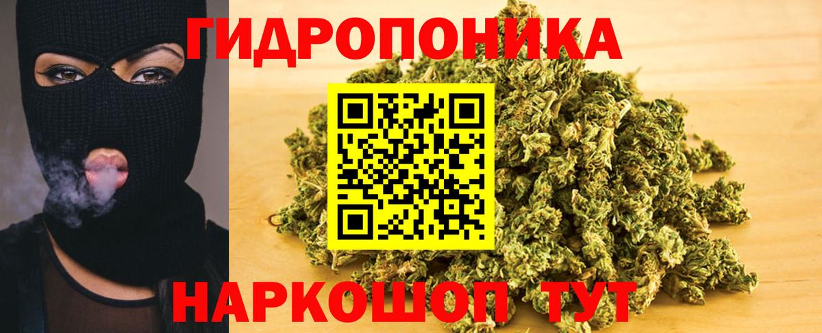 Камышлов  Шишки марихуана ГИДРОПОН  МАРИХУАНА White Widow  Бошки марихуана AK-47  Вход с VPN 